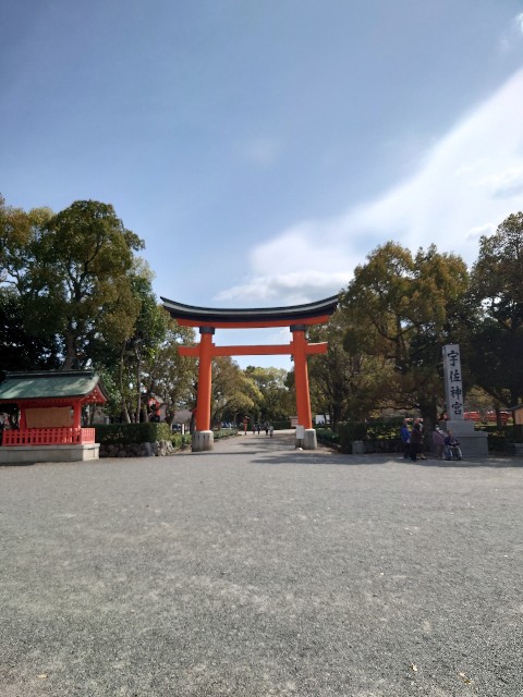 f:id:MaasanM:20240403192151j:image