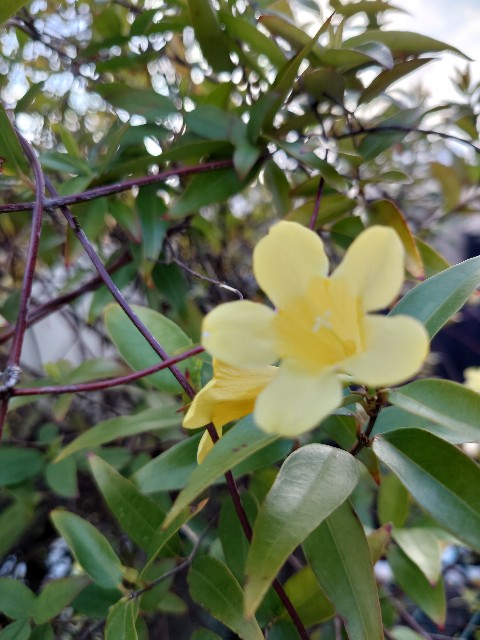 f:id:MaasanM:20240416204554j:image f:id:MaasanM:20240416204554j:image