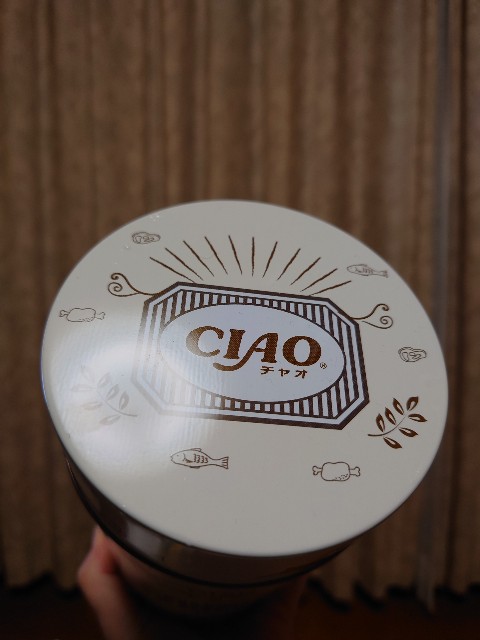 f:id:MaasanM:20240421191636j:image