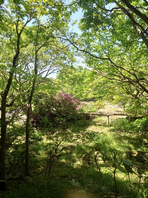 f:id:MaasanM:20240430194650j:image f:id:MaasanM:20240430194650j:image