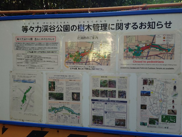 f:id:MaasanM:20240915200222j:image