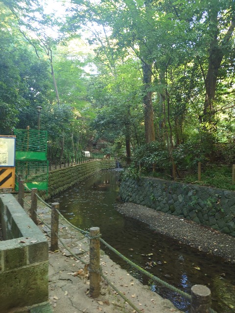 f:id:MaasanM:20240915200225j:image