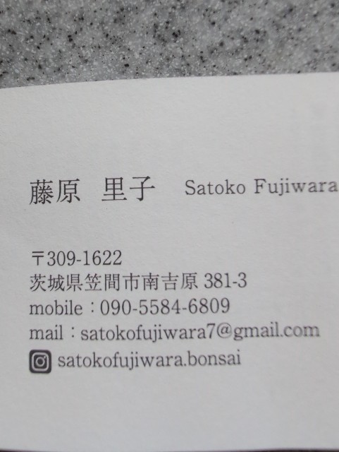 f:id:MaasanM:20241104150620j:image f:id:MaasanM:20241104150620j:image