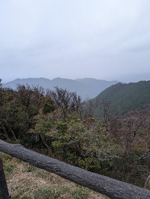 f:id:MaasanM:20241114185931j:image