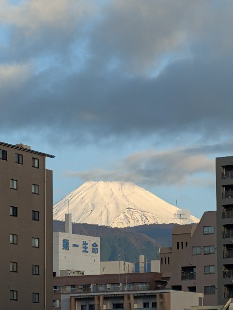 f:id:MaasanM:20241121192555j:image f:id:MaasanM:20241121192555j:image