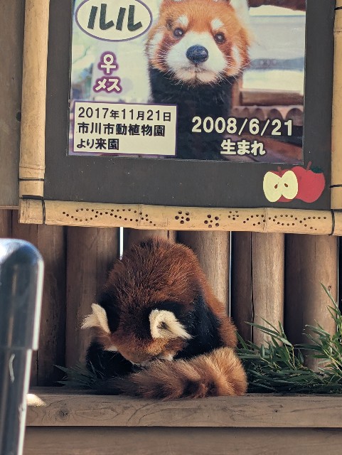 f:id:MaasanM:20241125215719j:image