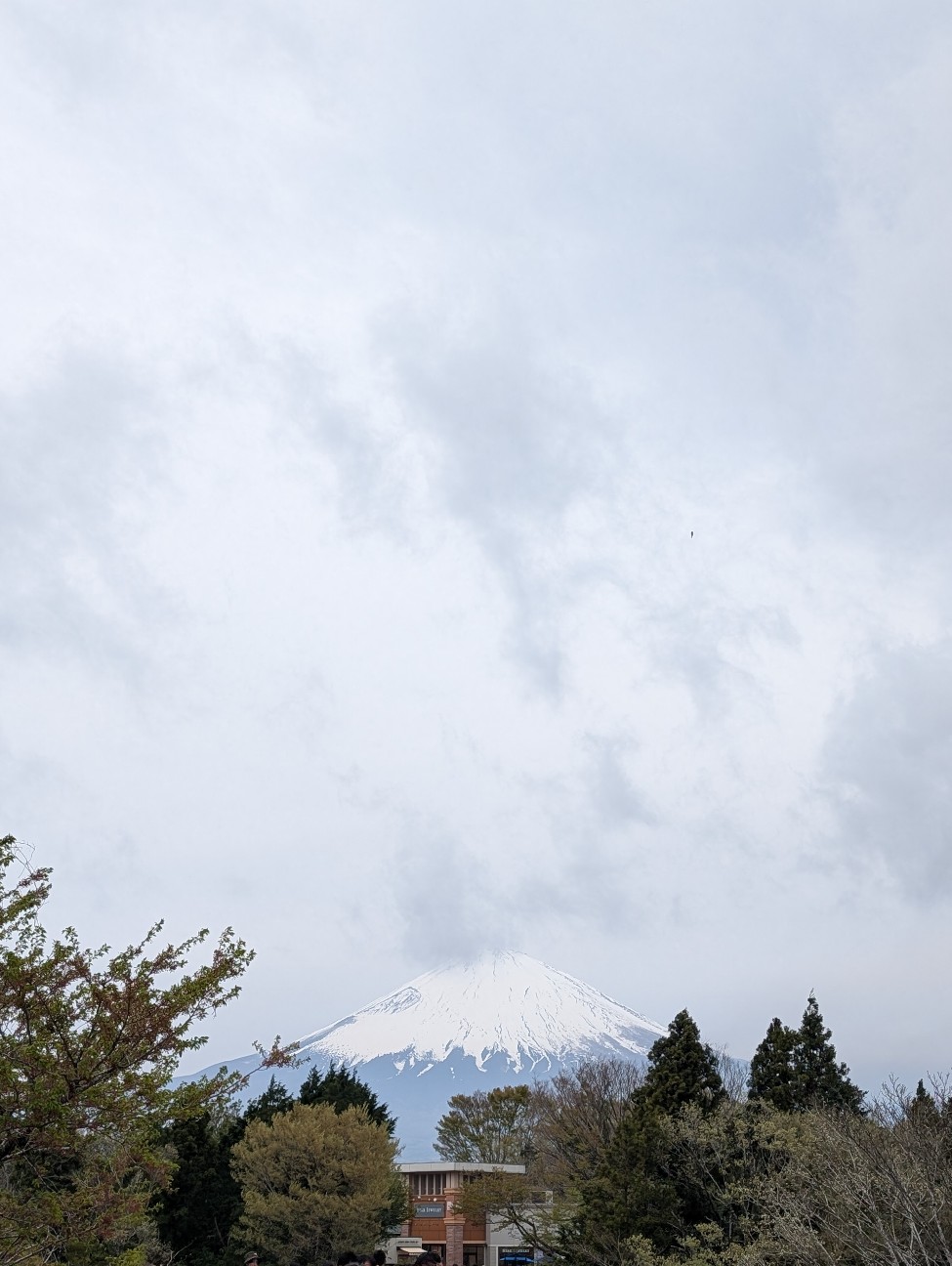 f:id:MaasanM:20250421185341j:image