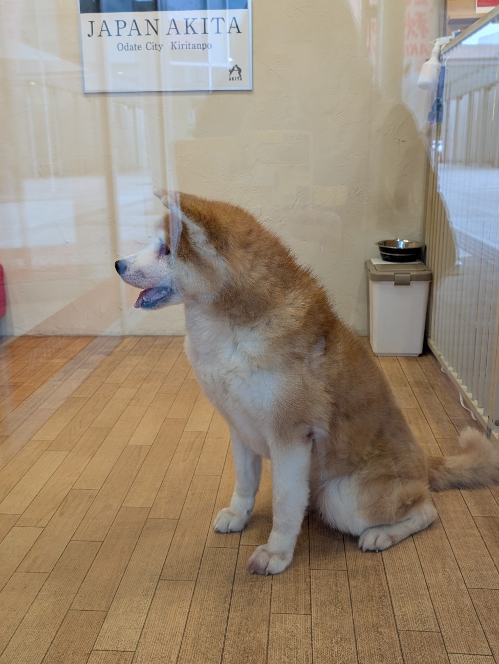 f:id:MaasanM:20251201103122j:image