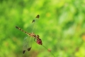 20160710163756
