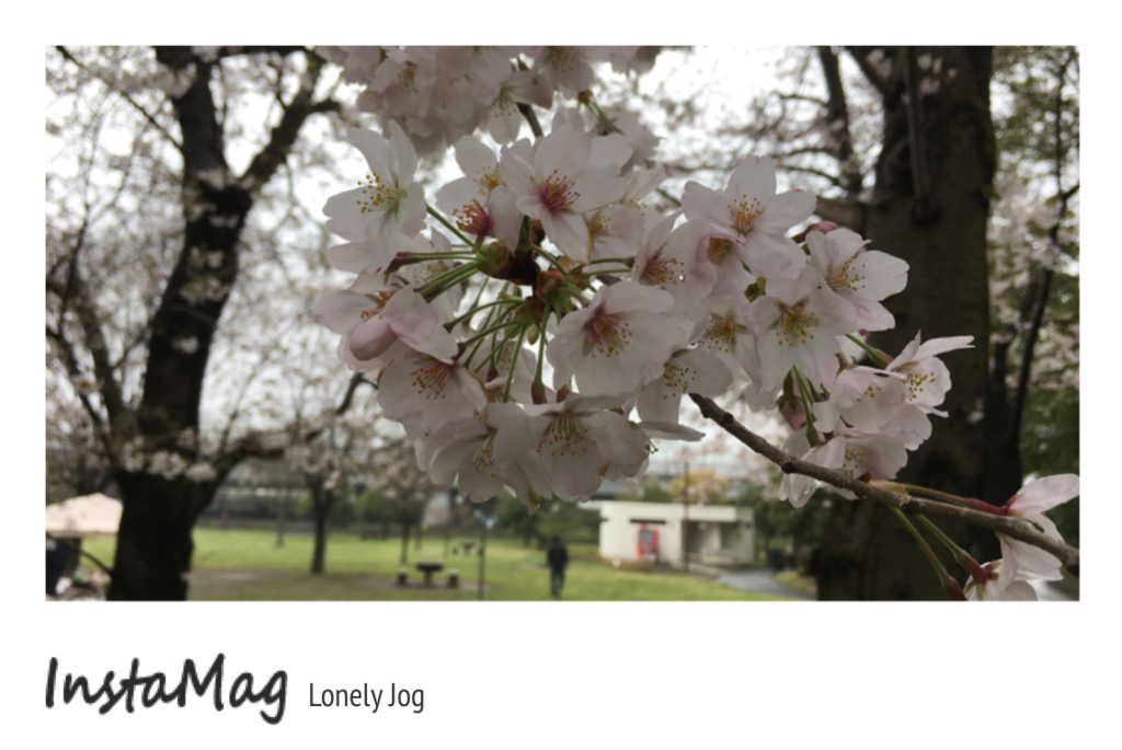 f:id:MacRun:20170408162210j:plain f:id:MacRun:20170408162210j:plain