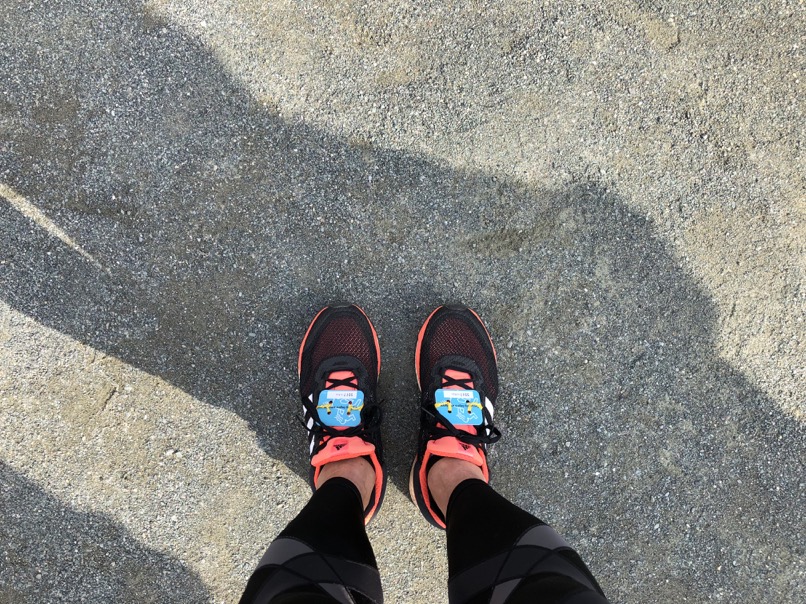 f:id:MacRun:20180312062733j:plain