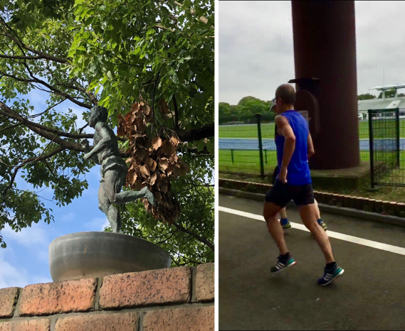 f:id:MacRun:20180612095349p:plain