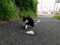 20180613062822