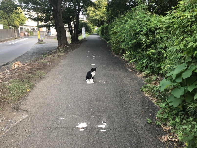 f:id:MacRun:20180825063432j:plain