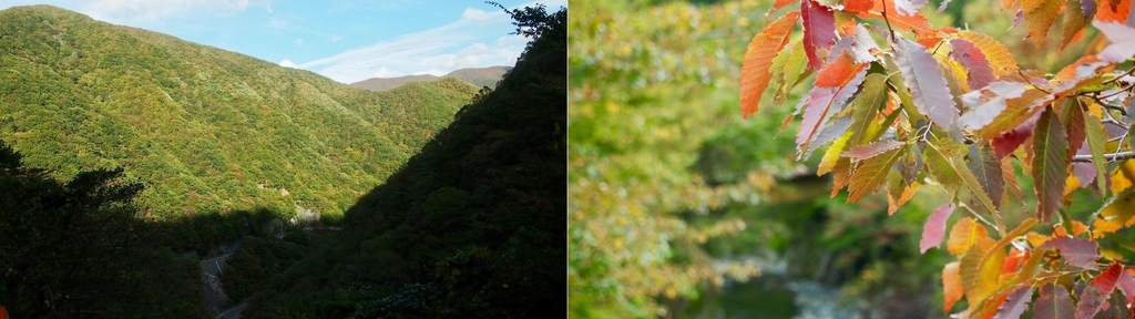 f:id:MacRun:20181015050005j:plain