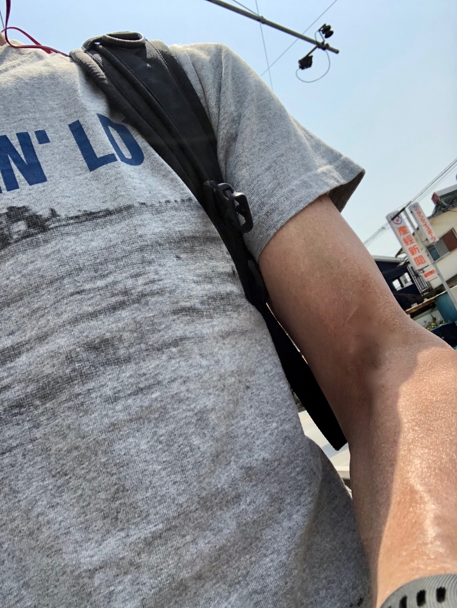 f:id:MacRun:20190407170053j:plain