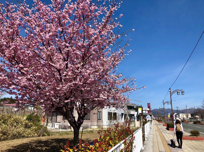 f:id:MacRun:20190424052829j:plain