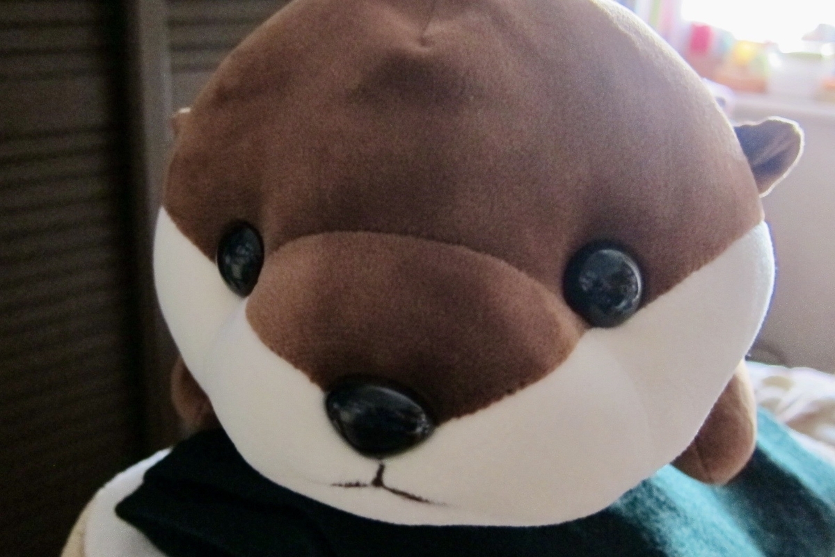 f:id:MacRun:20191229113722j:plain f:id:MacRun:20191229113722j:plain