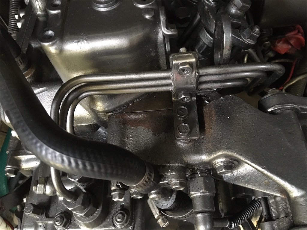 f:id:Macrophage2:20250308142416j:image