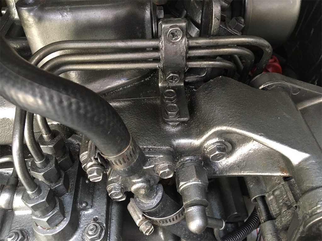 f:id:Macrophage2:20250308142548j:image