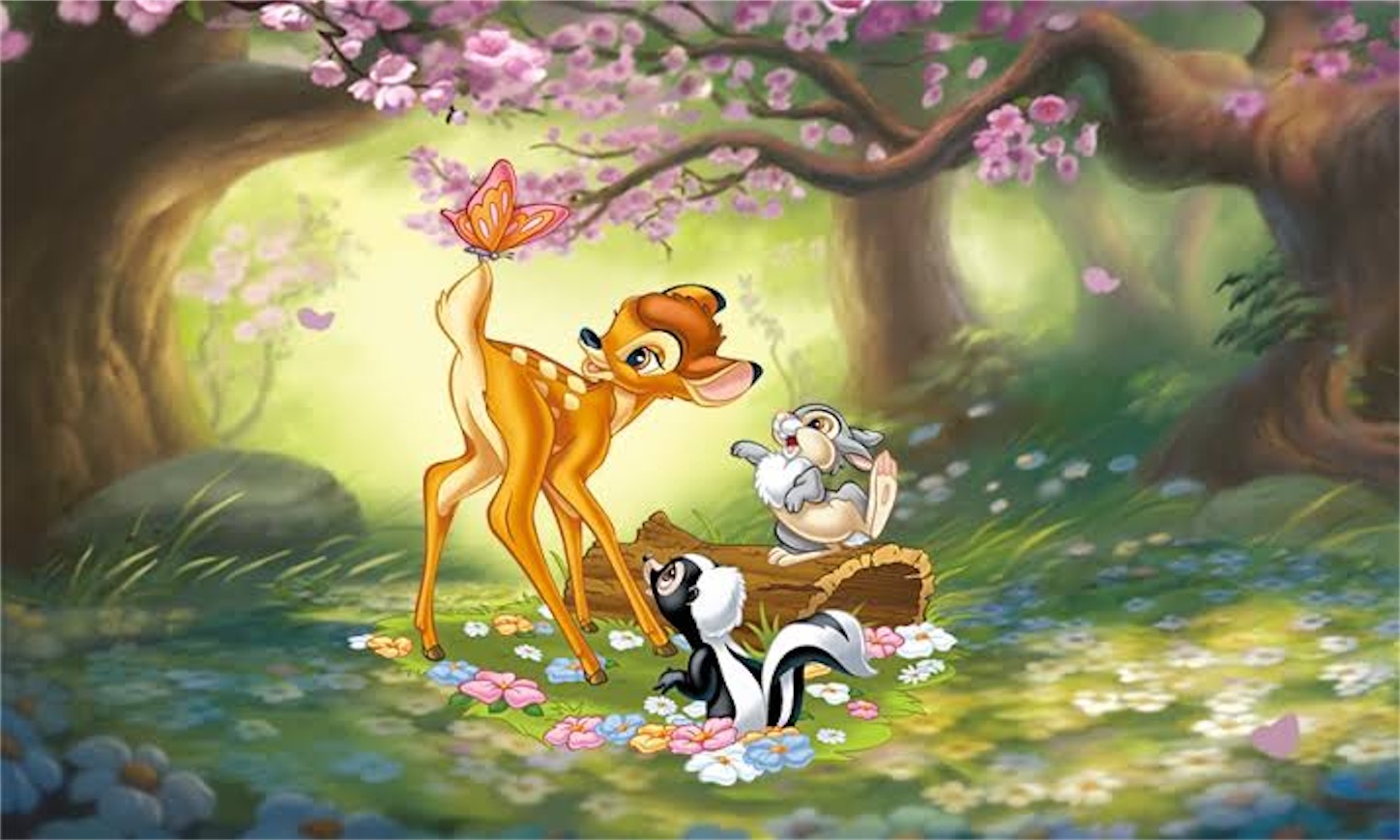 f:id:MacyCat:20200212094659j:image f:id:MacyCat:20200212094659j:image