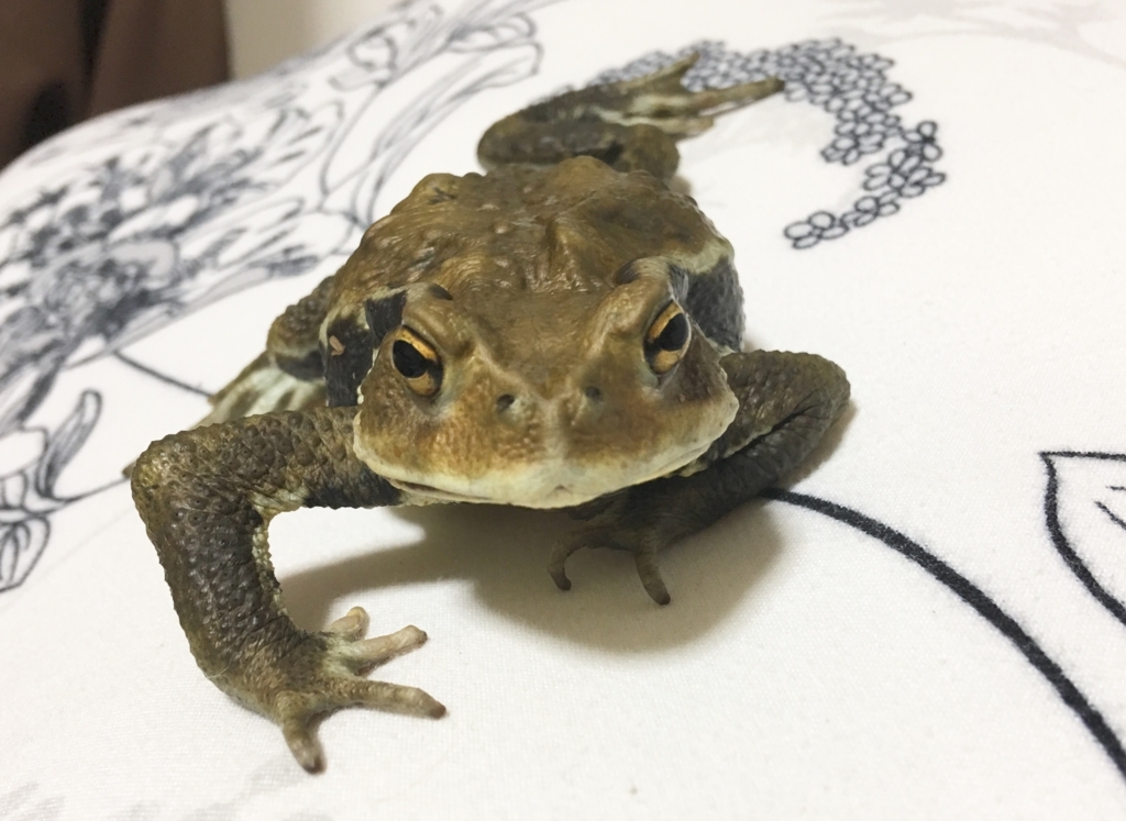 f:id:Madam_toad:20170727234021j:plain f:id:Madam_toad:20170727234021j:plain
