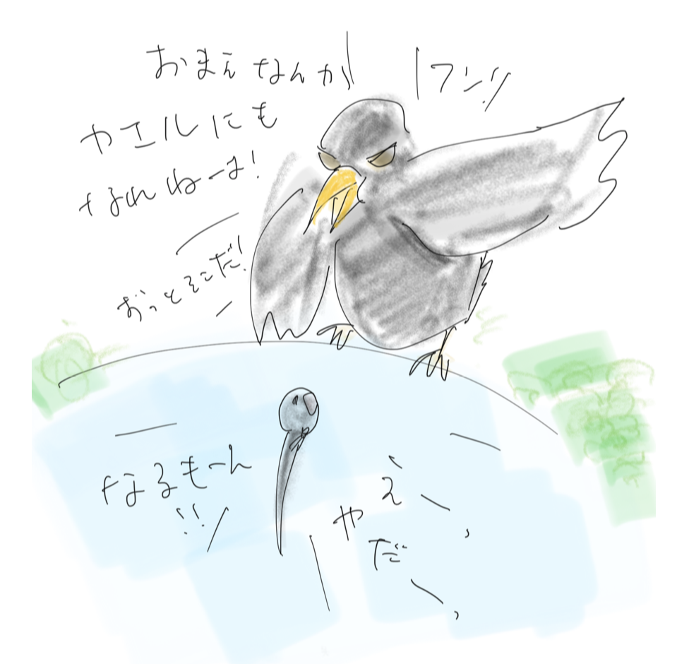 f:id:Madam_toad:20191117112420p:plain