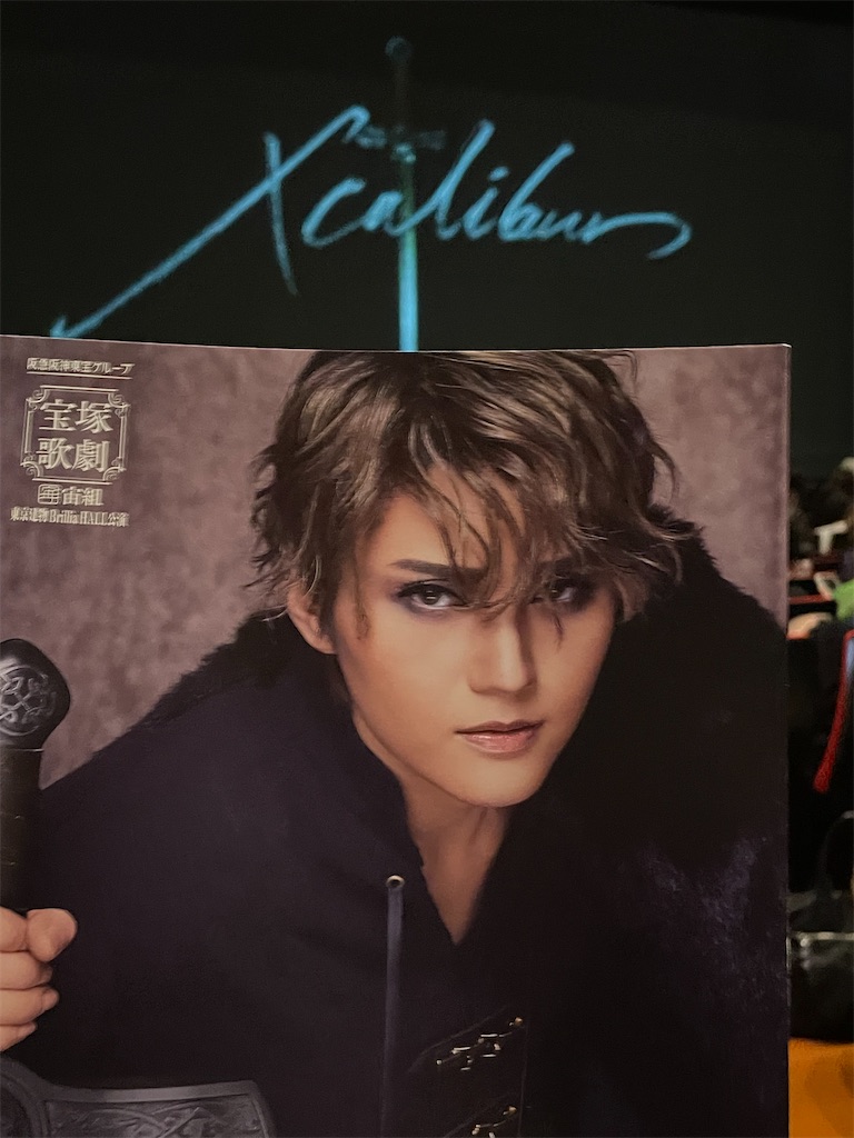 宝塚 花組「MY HERO」DVD 公演プログラム 芹香斗亜 宝塚 花組「MY HERO」DVD 公演プログラム 芹香斗亜