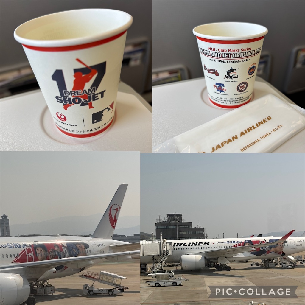f:id:MadameSoleil:20250322182203j:image