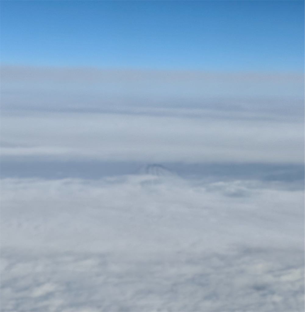 f:id:MadameSoleil:20260121092352j:image