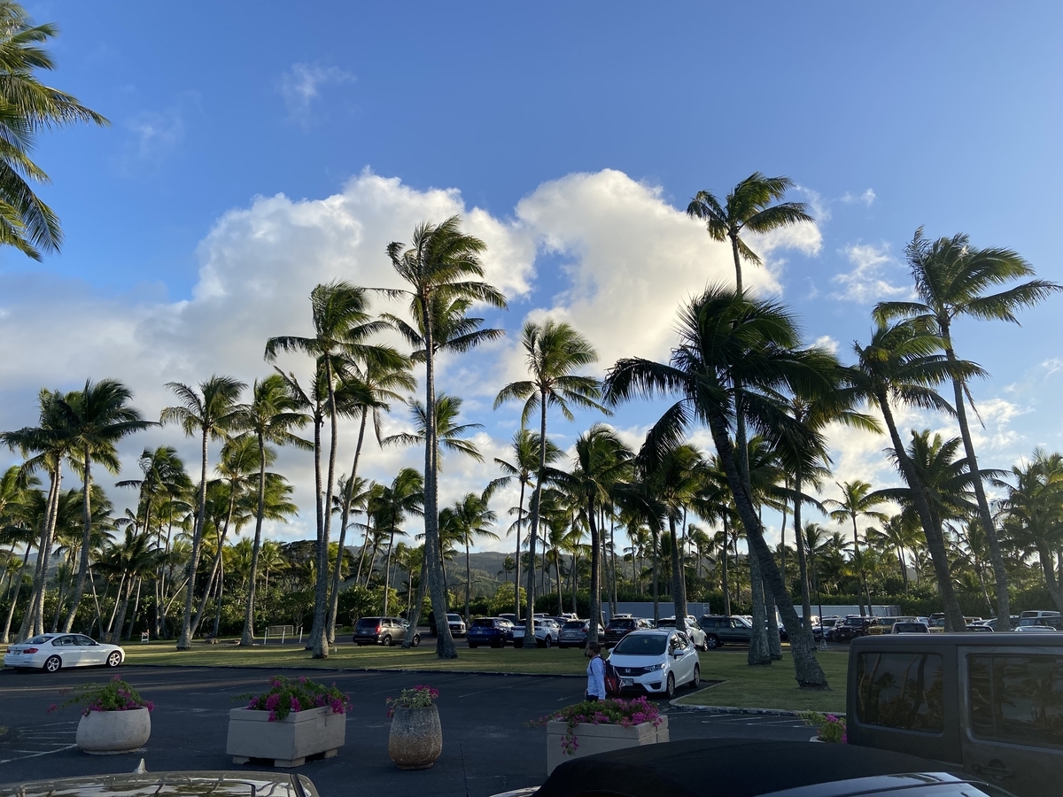 【ハワイ語学留学】ノースショアのビーチ 21世紀のマゼラン