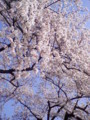 20100408122117