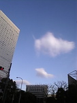 f:id:Magnoliarida:20080127002154j:image