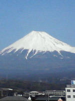 f:id:Magnoliarida:20080322095500j:image