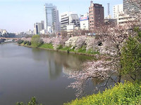 f:id:Magnoliarida:20080328090000j:image