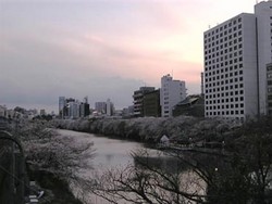 f:id:Magnoliarida:20080329174500j:image