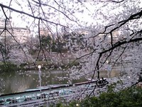 f:id:Magnoliarida:20080329174800j:image