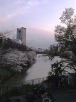 f:id:Magnoliarida:20080329194353j:image