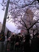 f:id:Magnoliarida:20080329194543j:image