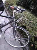 f:id:Magnoliarida:20080329201252j:image