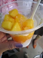 f:id:Magnoliarida:20080723183111j:image