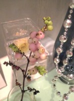 f:id:Magnoliarida:20080921003309j:image