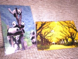 f:id:Magnoliarida:20080928224031j:image