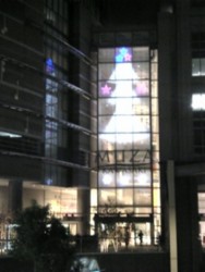 f:id:Magnoliarida:20081125211029j:image