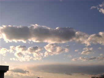 f:id:Magnoliarida:20090101162453j:image