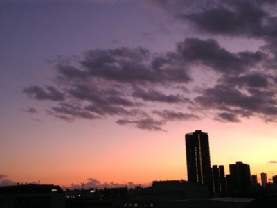 f:id:Magnoliarida:20090101191613j:image