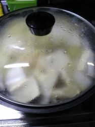 f:id:Magnoliarida:20090101191614j:image