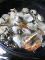 f:id:Magnoliarida:20090101191615j:image