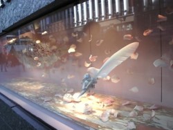 f:id:Magnoliarida:20090315213259j:image