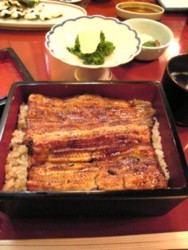 f:id:Magnoliarida:20090403230947j:image